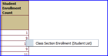 Class Section Enrollment (Student List) button Class Section Enrollment (Student List) button