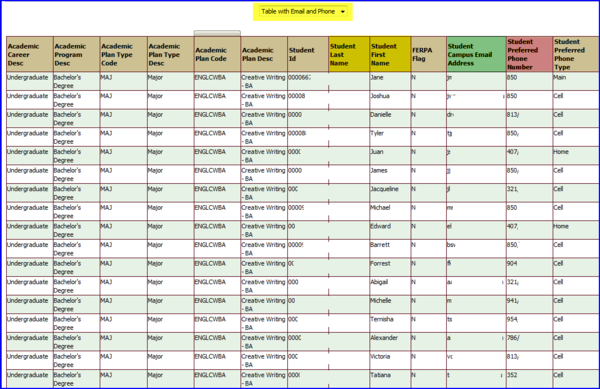 Table with Email and Phone view screen shot Table with Email and Phone view screen shot